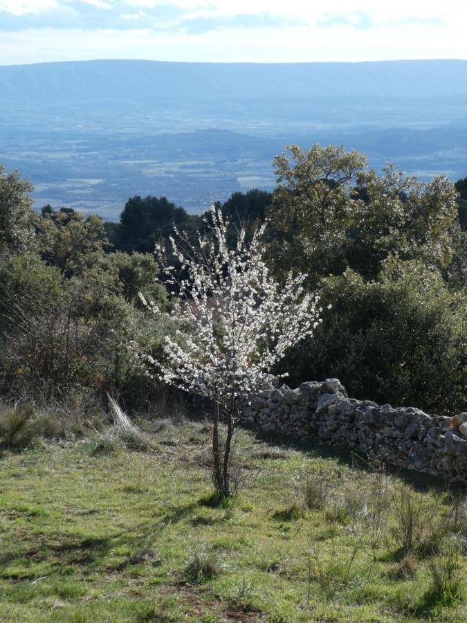 Отель Le Jas Des Aiguiers Сен-Сатюрнен-д'Апт Экстерьер фото